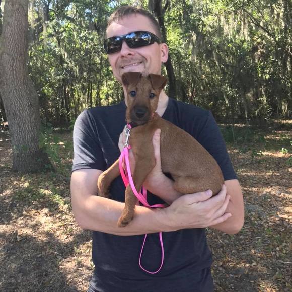 Meet your Posher, Joe - Picture 1 of 1